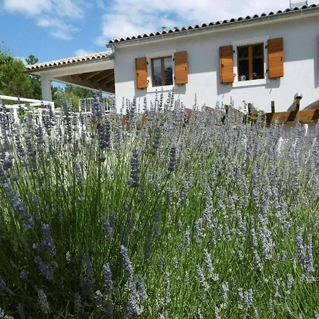 Villa Isabel And Imo Labin (Istria)