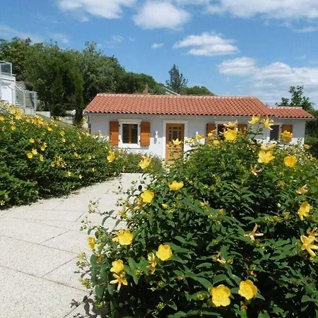 Isabel And Imo Labin (Istria)